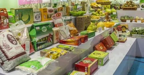 食品经营 合规与创新的双轮驱动